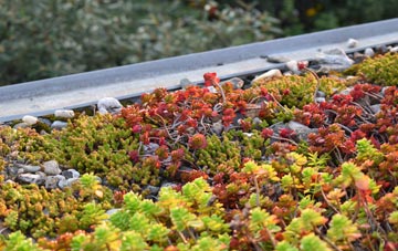 the cost of Scotland Gate green roof installation