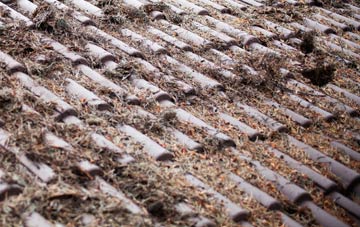 Scotland Gate roof cleaning companies