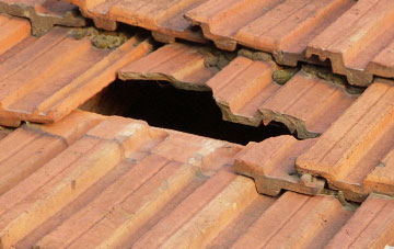 roof repair Scotland Gate, Northumberland