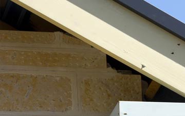 soffit repair Scotland Gate